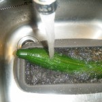 Gurke in kaltem Wasser Mit kaltem Wasser wird die Gurke abgeschreckt.